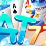 AT77 Game
