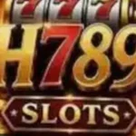 H786 Game - Logo