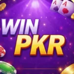 WINPKR Game APK Download - Logo